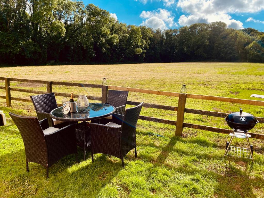 a table and chairs and a grill in a field at Highgate Mountain in Pembrokeshire
