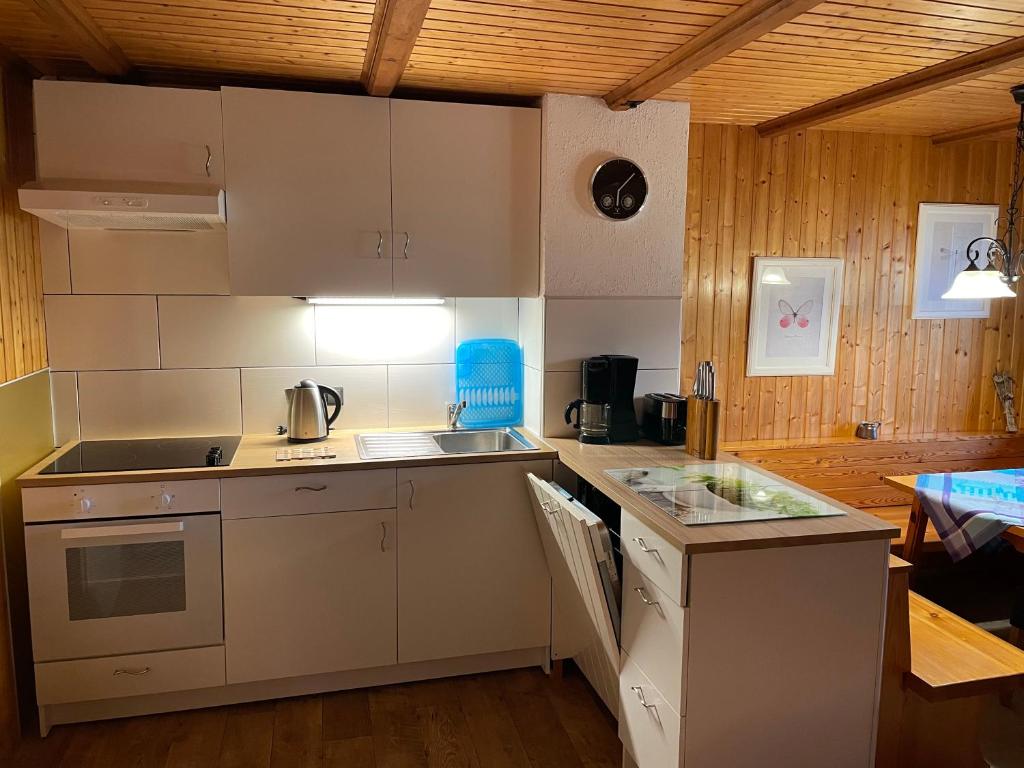 Kuchyň nebo kuchyňský kout v ubytování Haus Silverfern