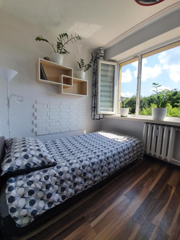een slaapkamer met een bed in een kamer met 2 ramen bij STELLA 6 in Sanok