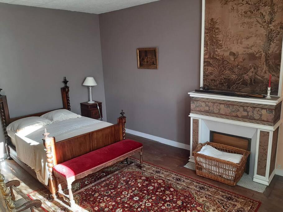 a bedroom with a bed and a fireplace at La Volière in Champigny-sur-Veude