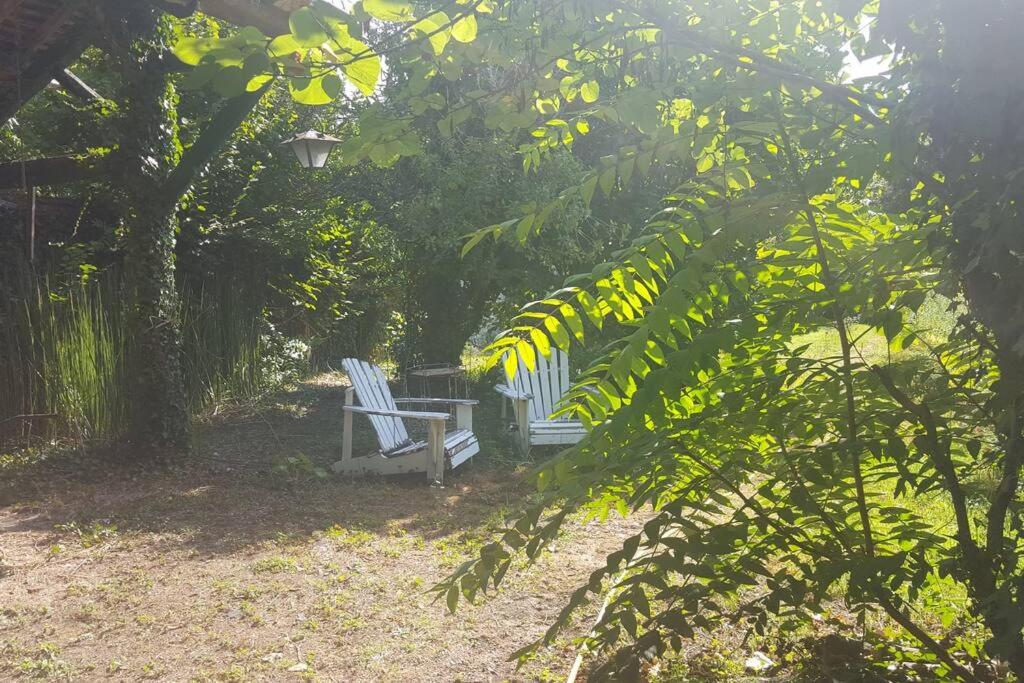 a bench sitting in the shade of a tree at La Volière in Champigny-sur-Veude