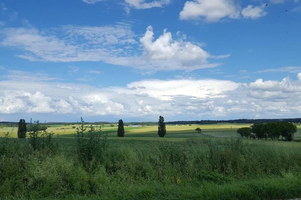 a field with trees and a blue sky with clouds at La Volière in Champigny-sur-Veude