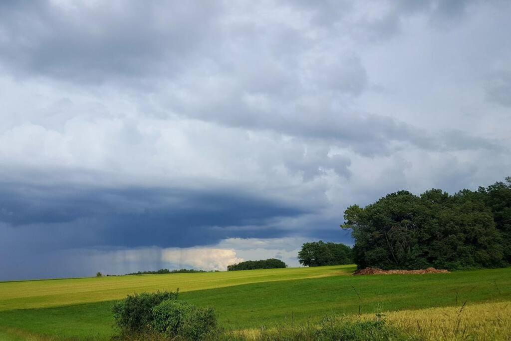 a field with a cloudy sky and trees in the distance at La Volière in Champigny-sur-Veude