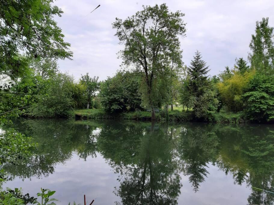 a view of a lake with trees and bushes at La Volière in Champigny-sur-Veude