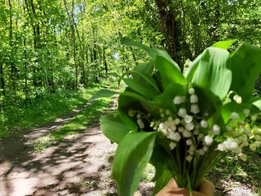 a bouquet of white flowers on a dirt road at La Volière in Champigny-sur-Veude