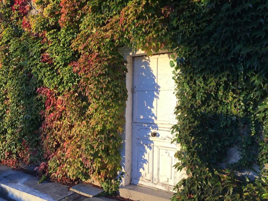 a white door in a ivy covered building at La Volière in Champigny-sur-Veude