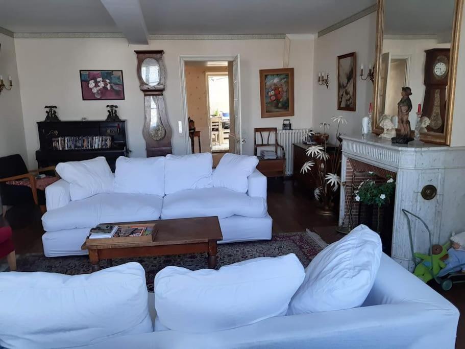 a living room with white couches and a fireplace at La Volière in Champigny-sur-Veude