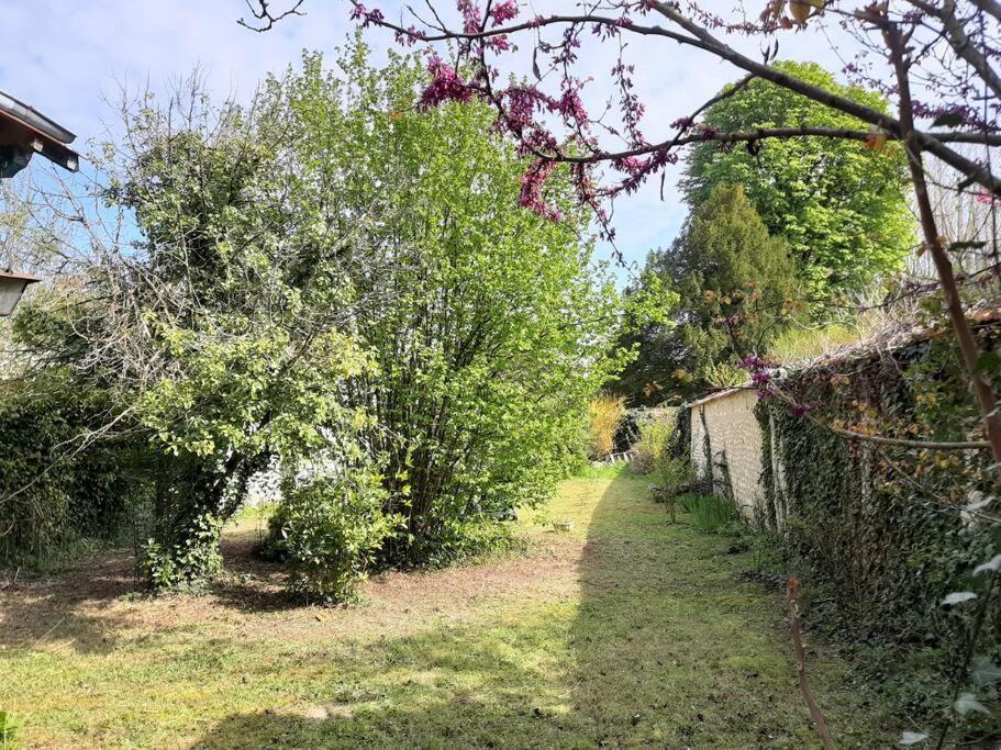 a garden with a tree and a fence at La Volière in Champigny-sur-Veude