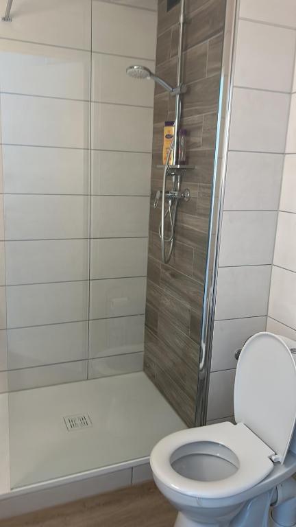 a bathroom with a toilet and a shower at Studio T à 5mn euro airport avec terrasse in Saint-Louis