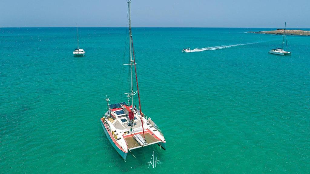 a white boat in the water with other boats at Catamaran El Pelegrino in Les Anses-dʼArlets