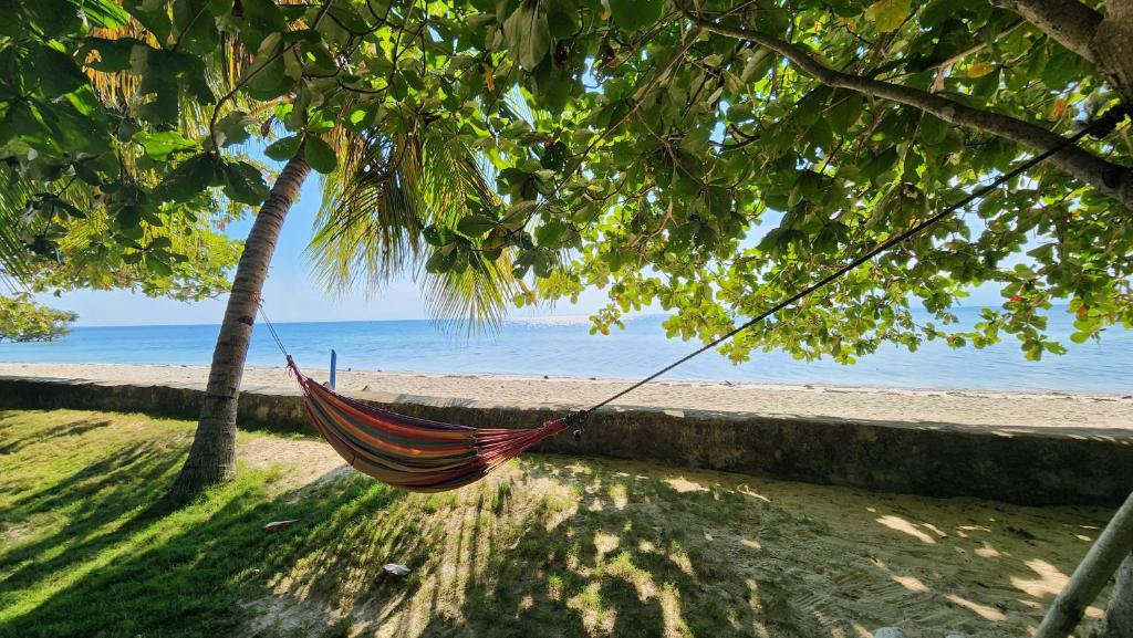 a hammock hanging between two palm trees on a beach at Islanders Paradise Beach in Larena