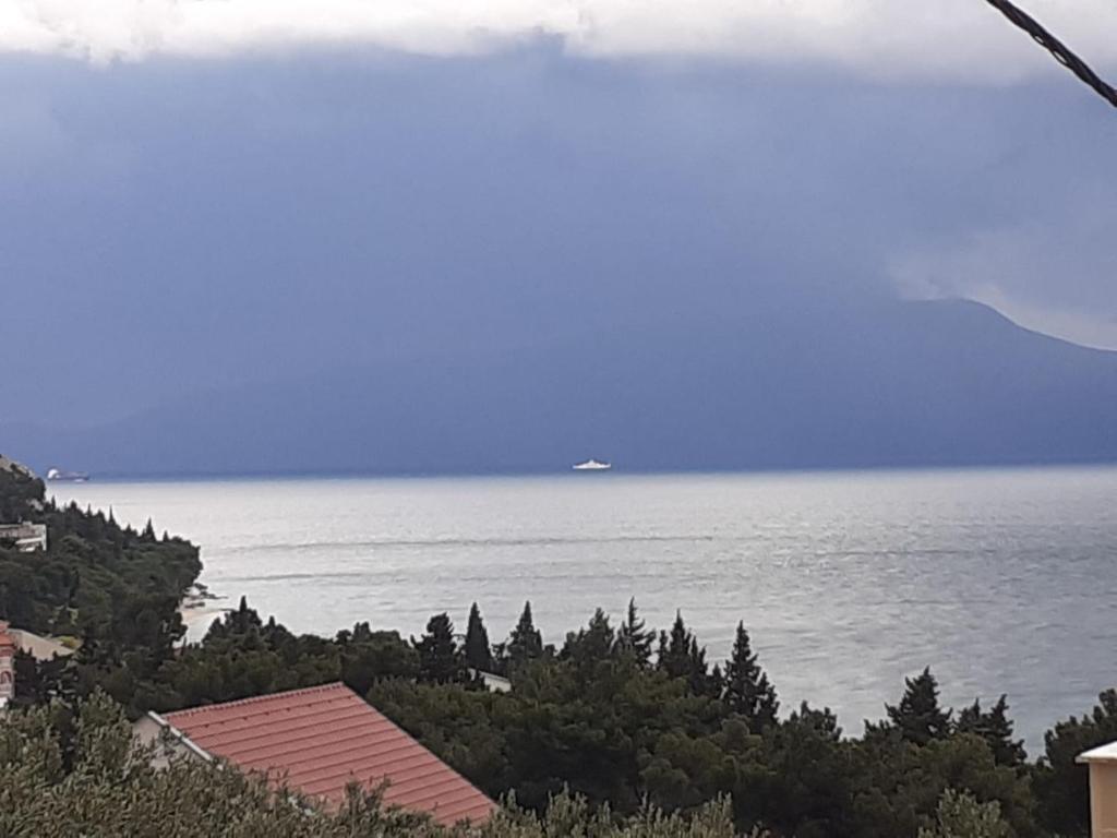 Príroda v okolí apartmánu
