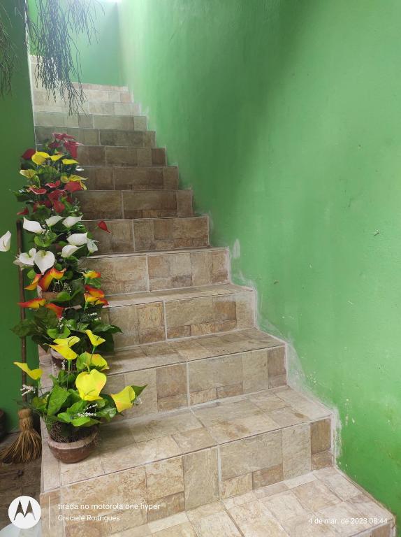 a set of stairs with a green wall and flowers at Suíte GUARAMIRANGA no Sítio in Guaramiranga