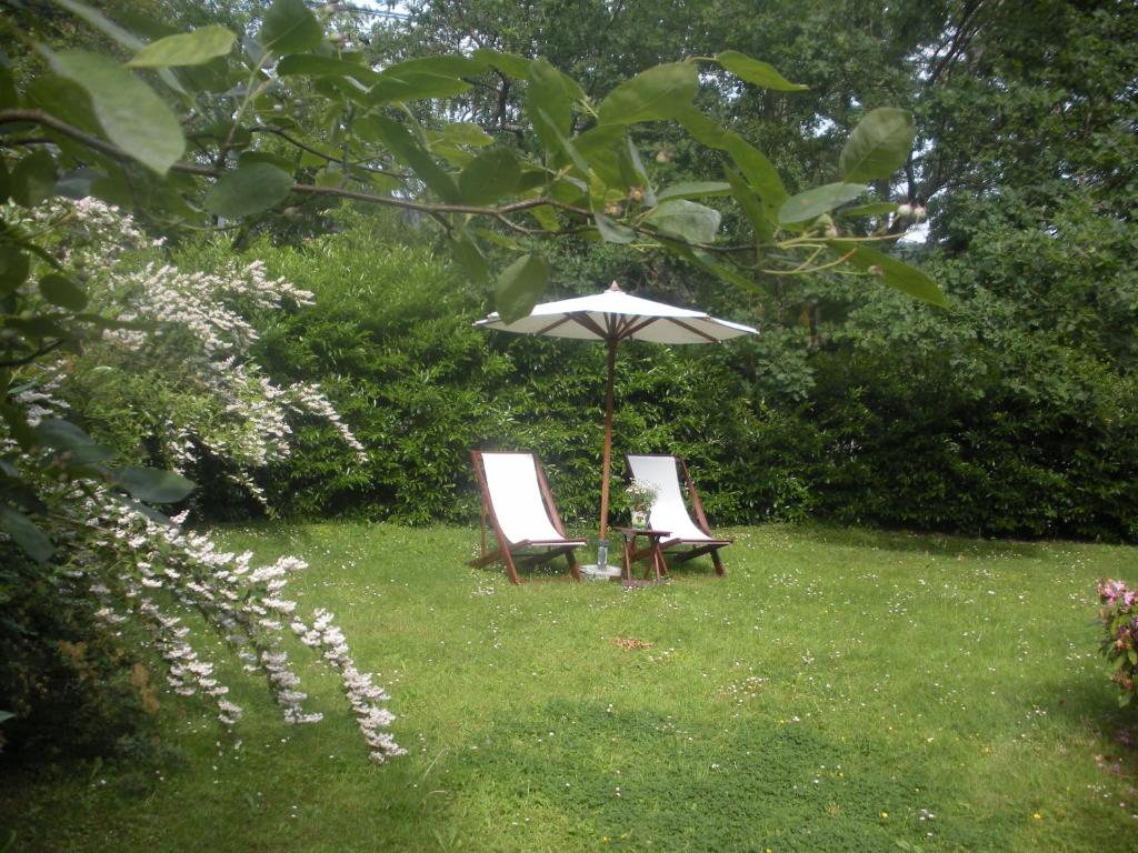 Zahrada ubytování B&B Le Bois Dormant