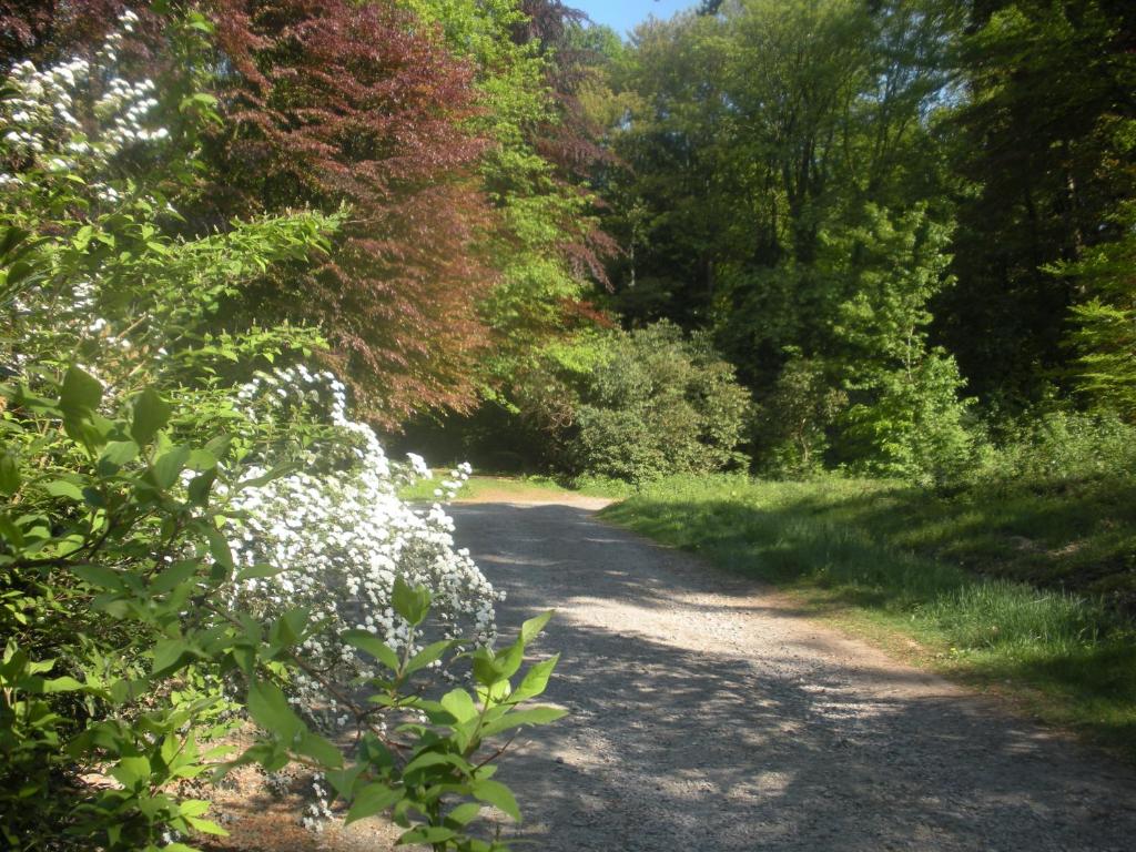 Příroda nedaleko bed and breakfast