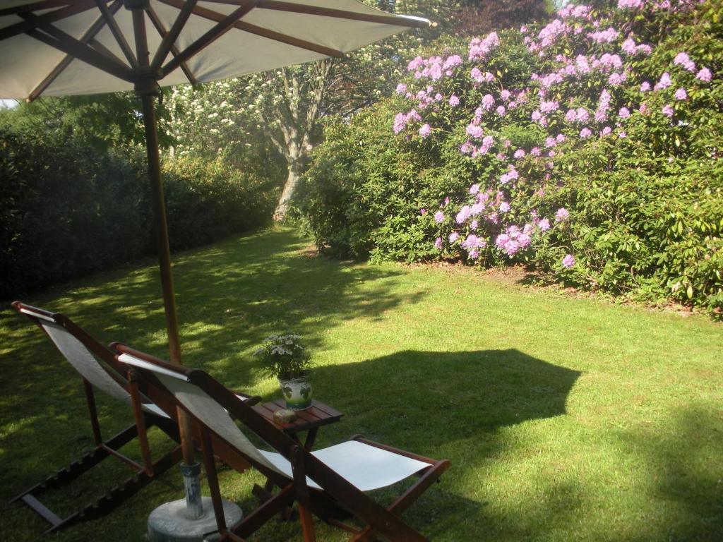 Zahrada ubytování B&B Le Bois Dormant