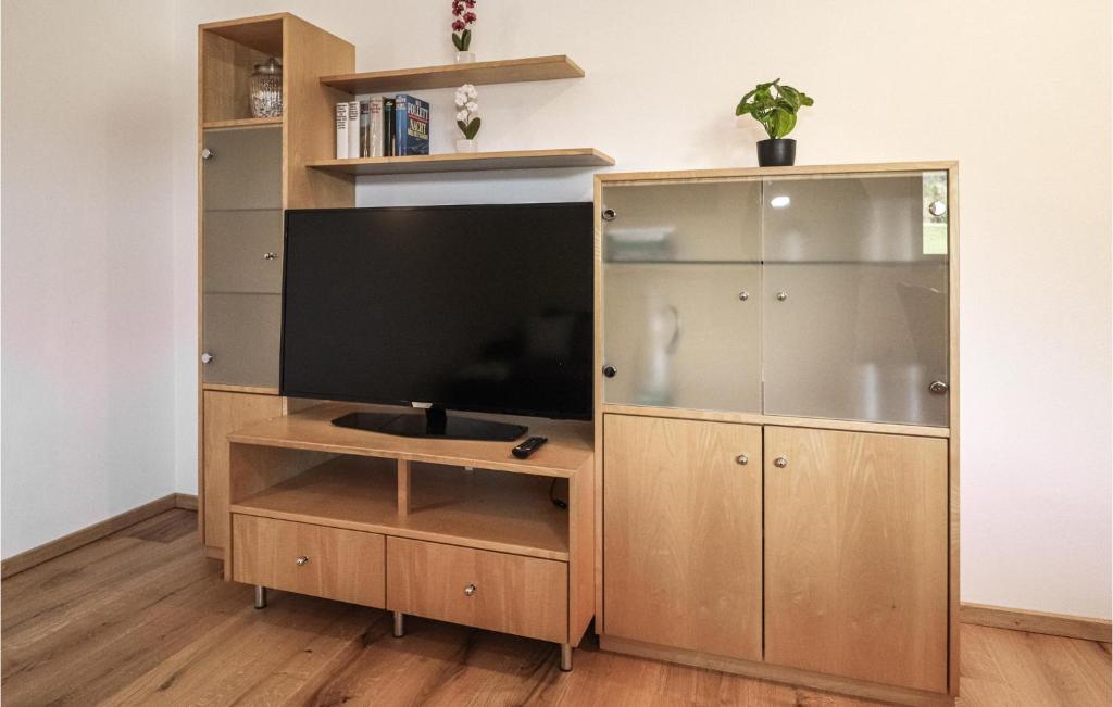 TV a/nebo společenská místnost v ubytování Ferienwohnung Mit Ausblick