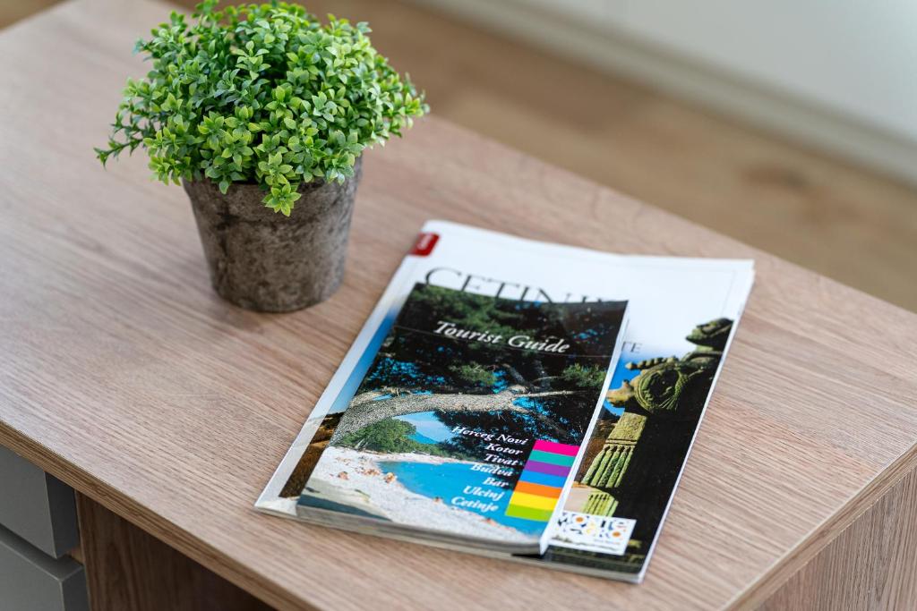 Apartments Gruda - 11