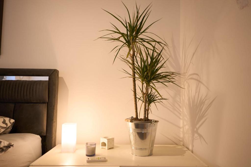Фотография из галереи Downtown secret apartment в Загребе