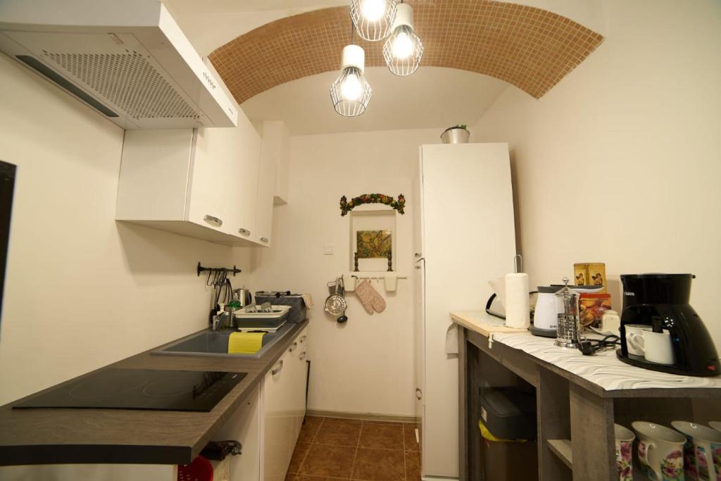 Кухня или мини-кухня в Downtown secret apartment
