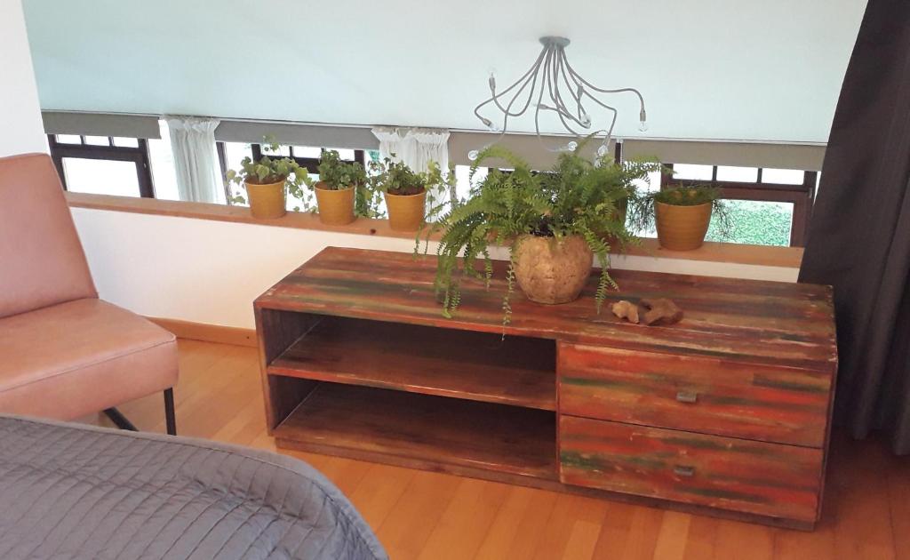 エワイユにあるBaliの鉢植えの木製テーブルが備わるお部屋