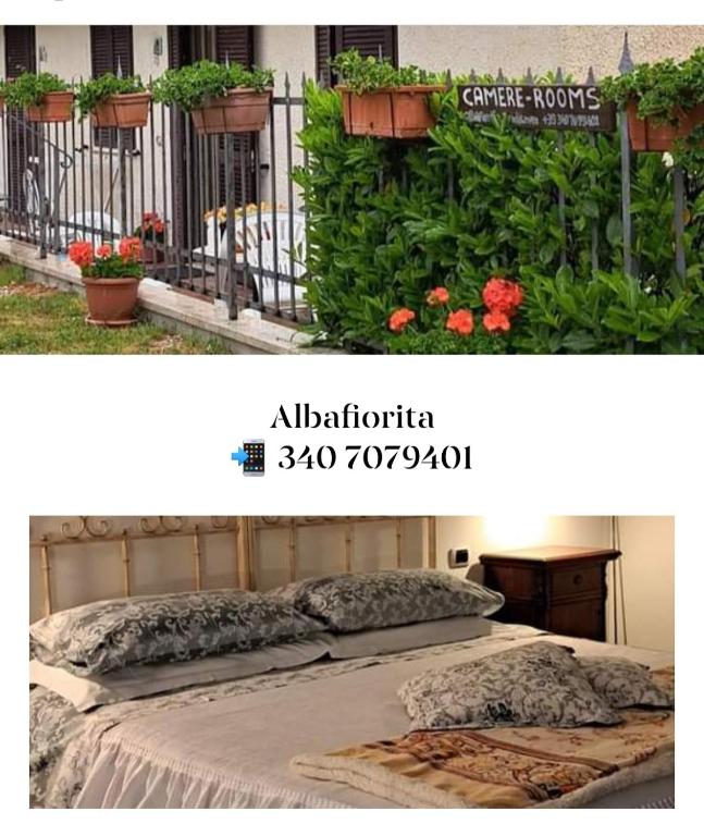 Zahrada ubytování Affittacamere ALBA FIORITA
