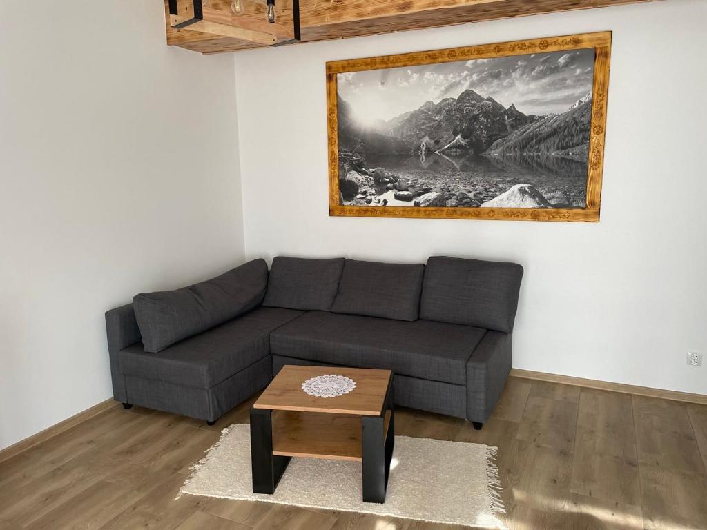 a living room with a couch and a table at Apartamenty Aleksandra in Biały Dunajec