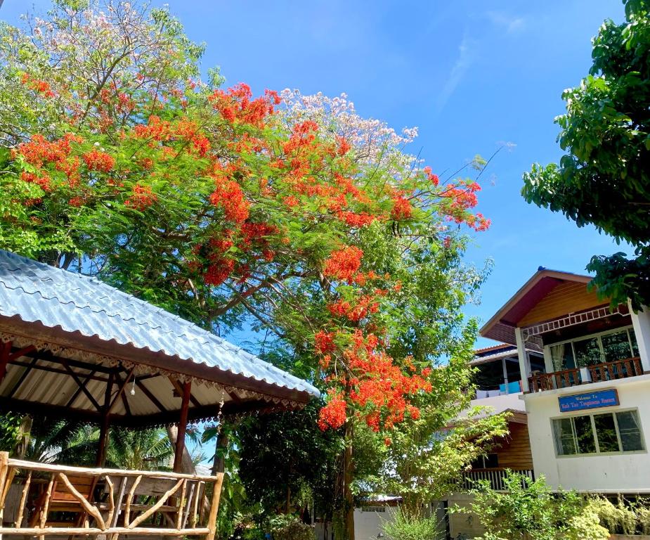 Zahrada ubytování Koh Tao Tropicana Resort