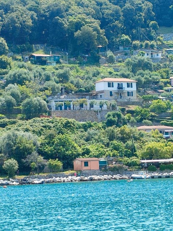 a house on a hill next to the water at La Terrazza su Portovenere in Portovenere