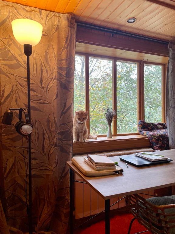 Fotografie z fotogalerie ubytování Sheshory Chalet v destinaci Šešory