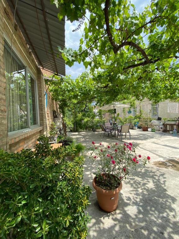 un patio con una pentola di fiori accanto a una casa di Talaveri Apartment in Old Tbilisi a Tbilisi City