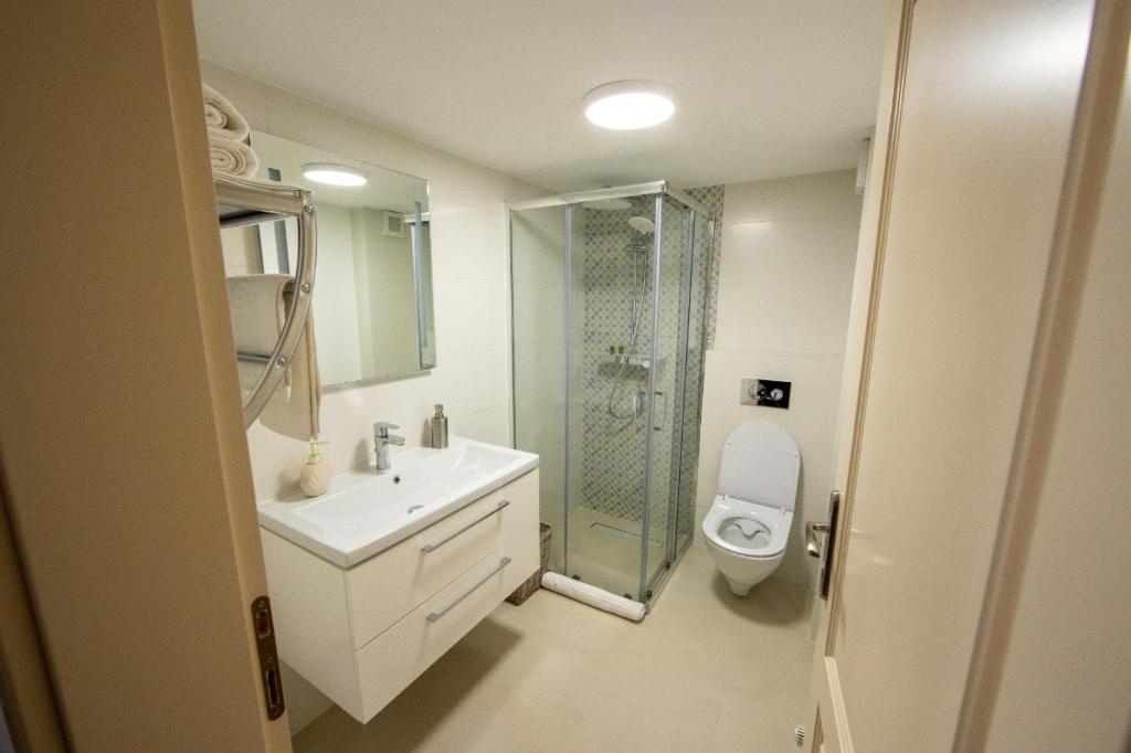 VISAJ Deluxe Downtown - Resim 14