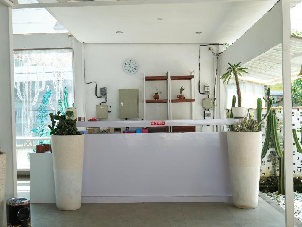 Fotografie z fotogalerie ubytování Cactus Guest House Borobudur v destinaci Borobudur
