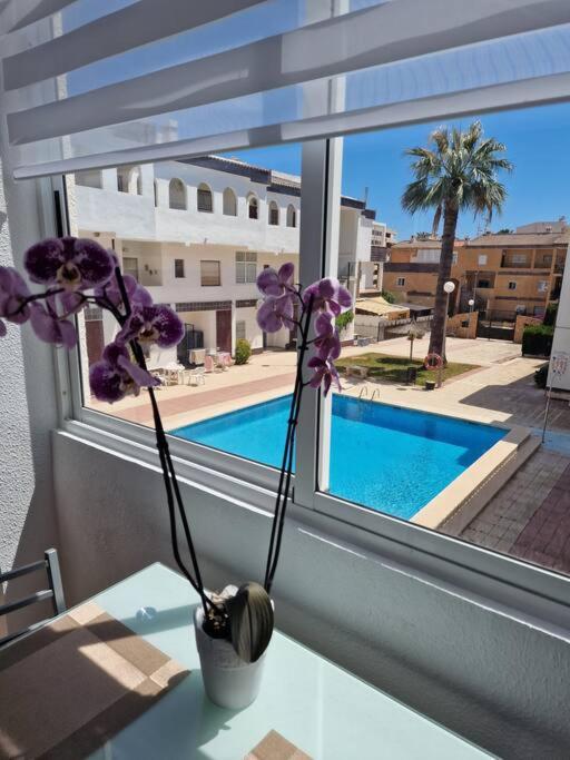 a vase with purple flowers on a table next to a window at R&R apartments in Punta Prima