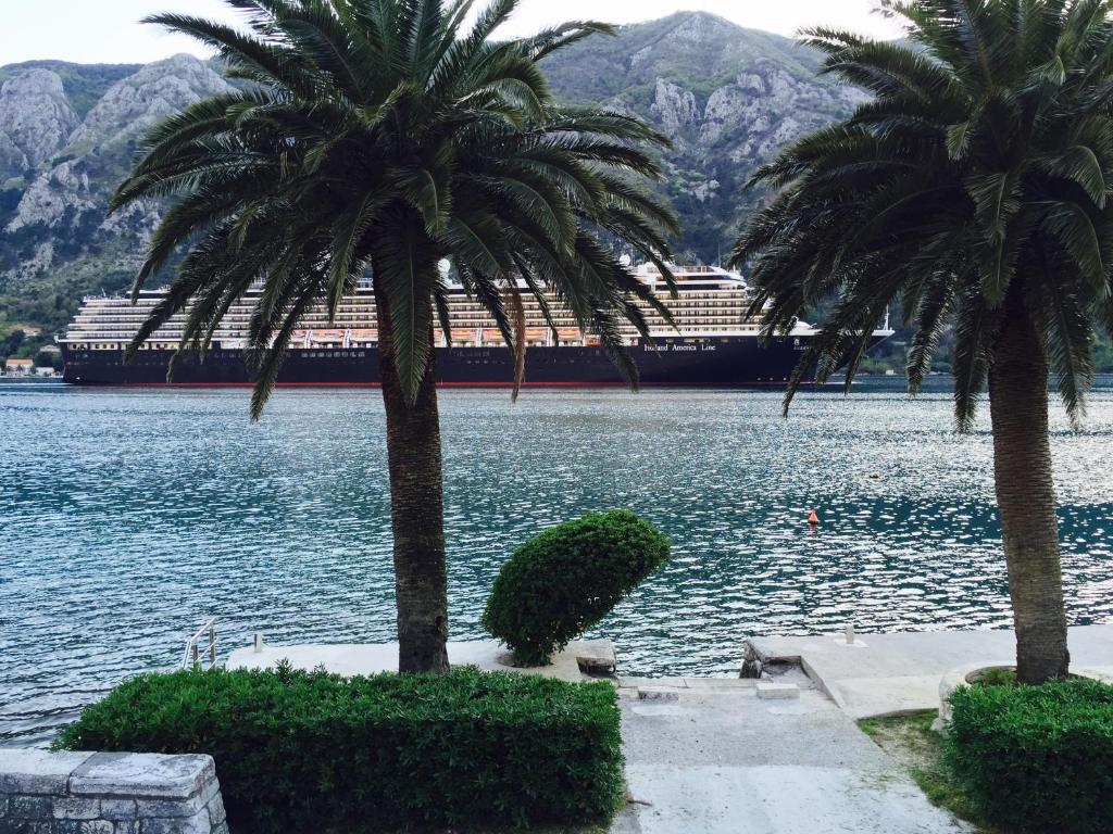 Apartments Ave R, Kotor Updated 2024 Prices
