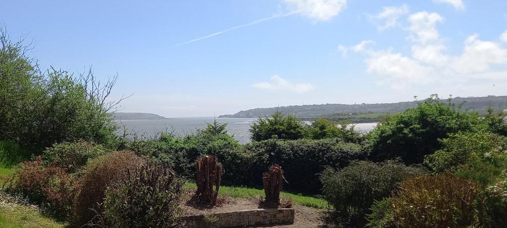 een tuin met uitzicht op een waterlichaam bij Ardsallagh Lodge in Youghal