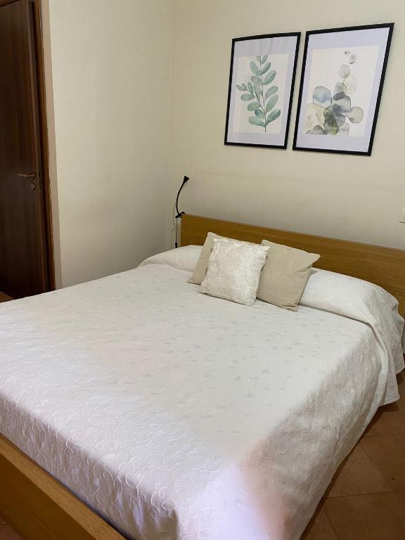 Colle San Mauro - Economy-Doppelzimmer