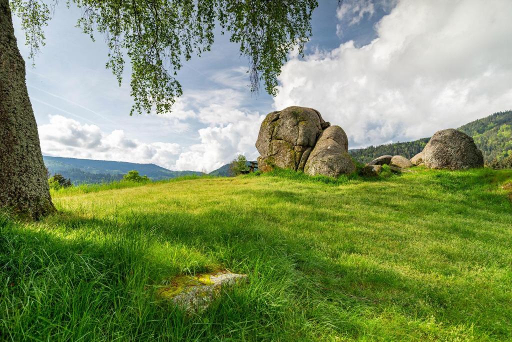 Příroda nedaleko apartmánu