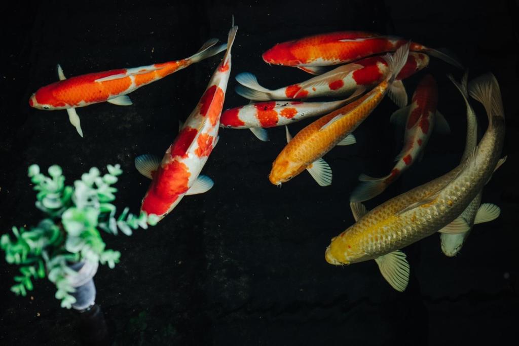 Old Town Chiangmai Boutique - Resim 25