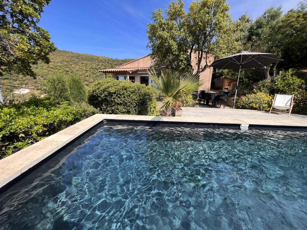 une piscine avec un parasol devant une maison dans l'établissement Maison rénovée 3 chambres avec piscine privée - FR-1-726-7, à La Croix-Valmer