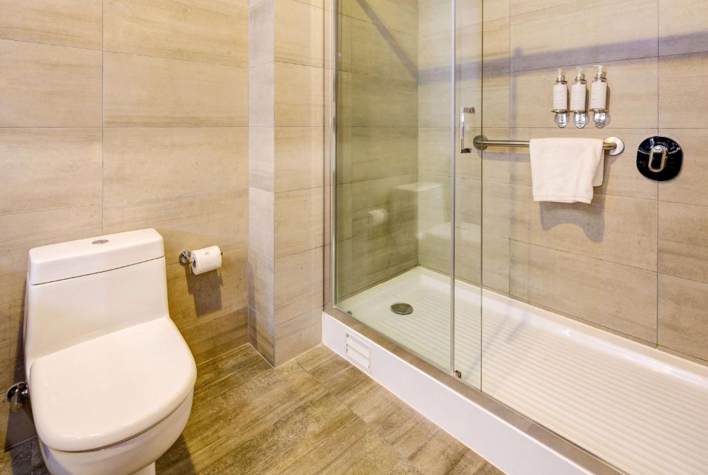 a bathroom with a toilet and a shower at La Quinta by Wyndham Santiago Aeropuerto in Santiago