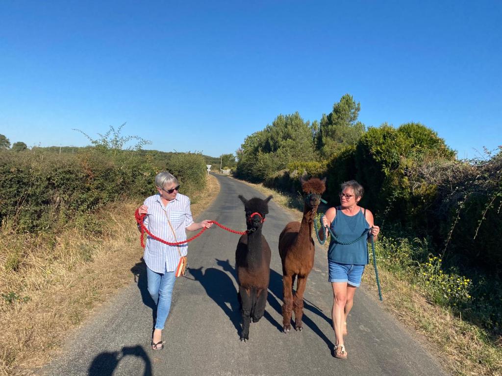 two people walking down a road with two horses at Vue du chateau a La Petite Ferme d&#39;Alpacas in Sanzay