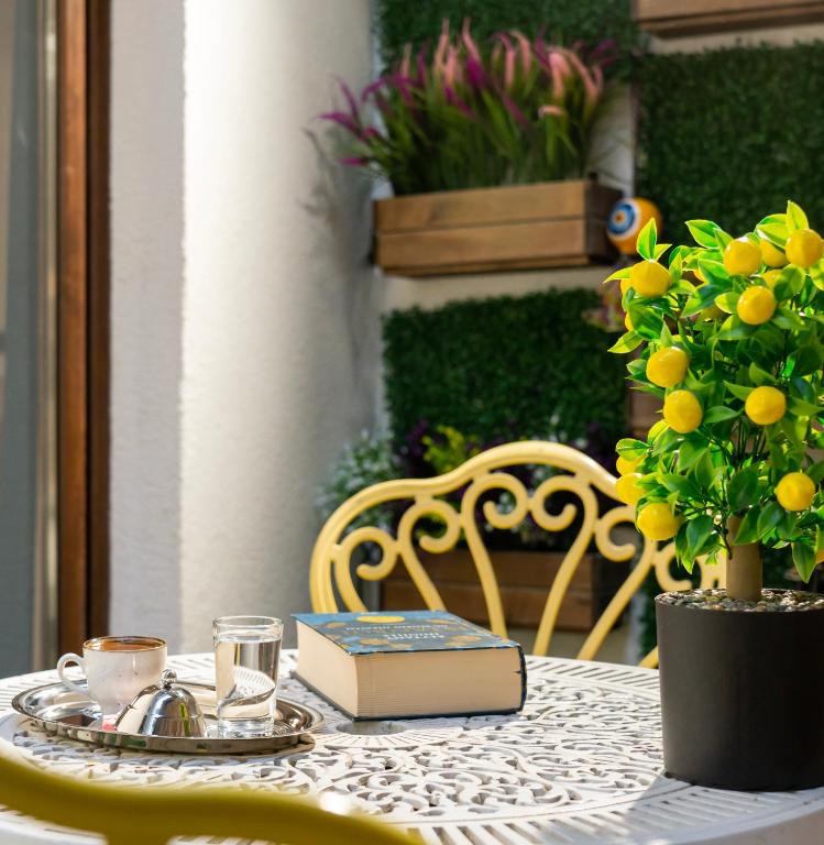 رویان سوئیت, آژانس هواپیمایی آسمان سپید