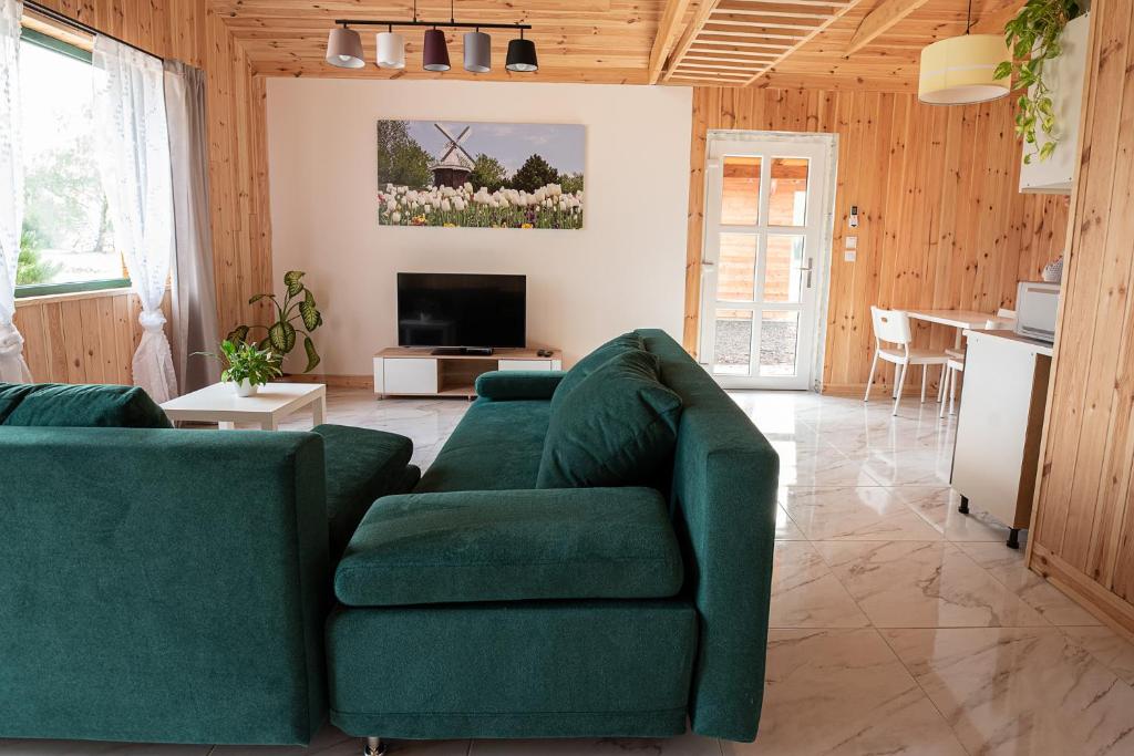 a living room with a green couch and a television at Volcz Családi Birtok in Ajka