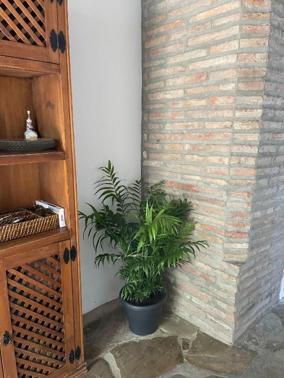 Fotografia z galérie ubytovania La casa vieja de Marchenilla v destinácii Jimena de la Frontera