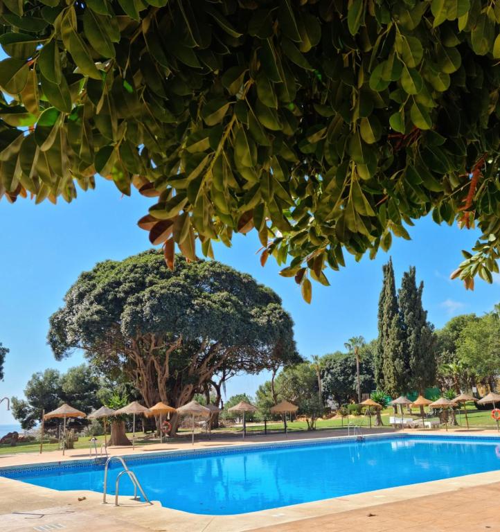 Lemon Tree Apartment, Benalmádena (updated prices 2024)