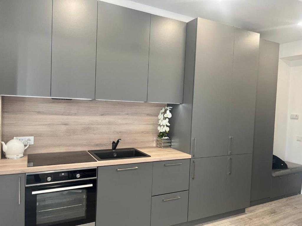 a kitchen with stainless steel cabinets and a sink at Apartamentai Sandra in Klaipėda