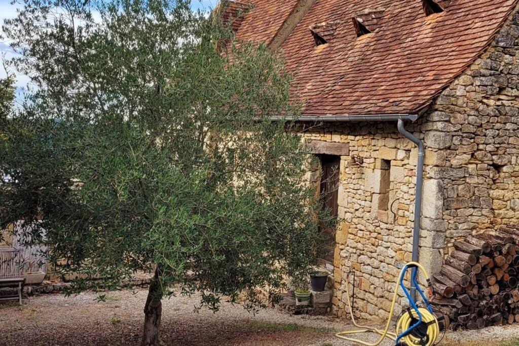 a stone house with a baby stroller next to a tree at Maison périgourdine avec vue et piscine chauffée in Peyzac-le-Moustier