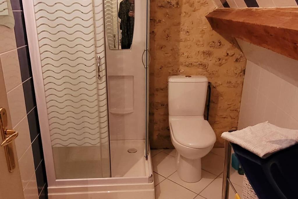 a small bathroom with a toilet and a shower at Maison périgourdine avec vue et piscine chauffée in Peyzac-le-Moustier