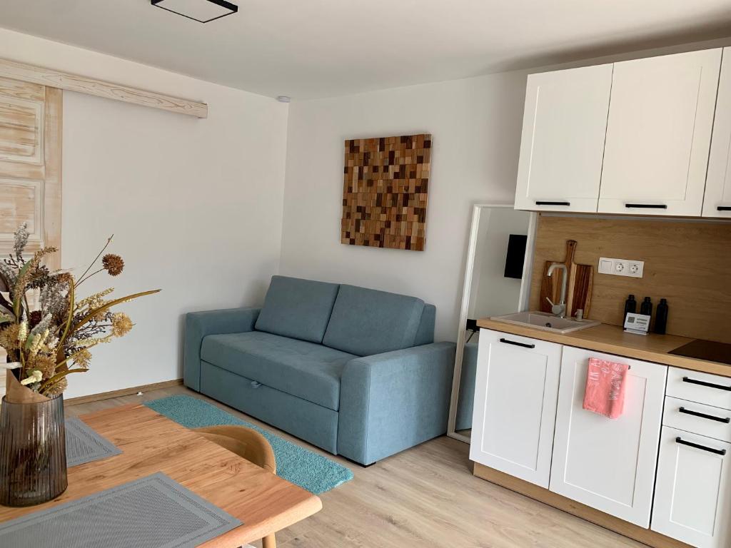 Kuchyň nebo kuchyňský kout v ubytování Nono Apartman Bükfürdő
